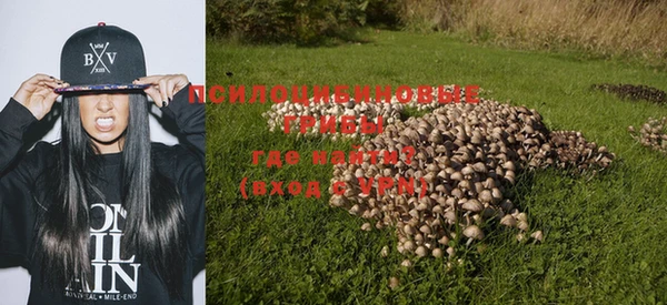 крисы Кукмор