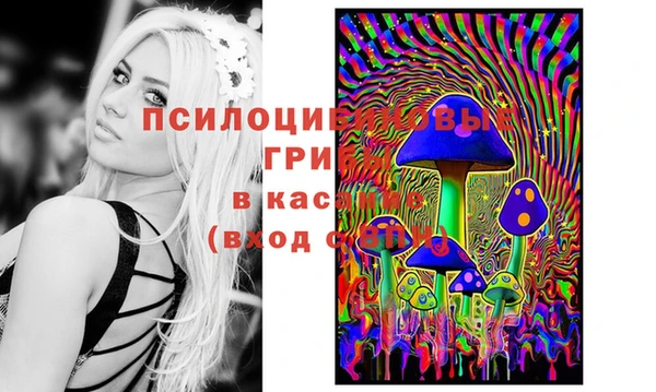 винт Ладушкин