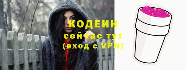 дмт Лагань