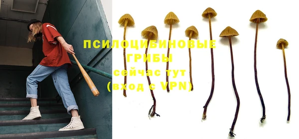 крисы Кукмор