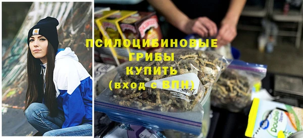 дмт Лагань