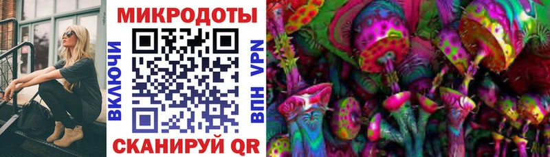 как найти   Чусовой  mega онион  Псилоцибиновые грибы Psilocybine cubensis 