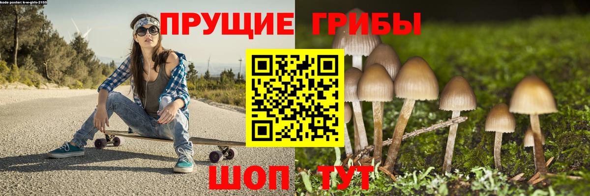 Чусовой  Галлюциногенные грибы Magic Shrooms  Вход с VPN 